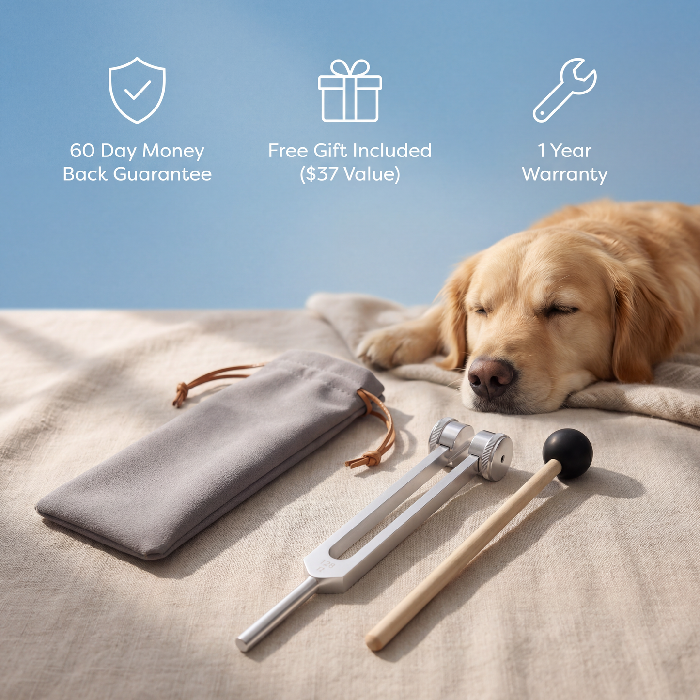 JELLEA Anchor Pet Fork